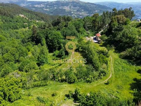 Terreno Rústico  Arrendamento em Santiago de Piães,Cinfães