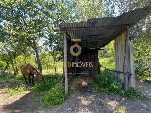 Terreno Rústico  Arrendamento em Santiago de Piães,Cinfães