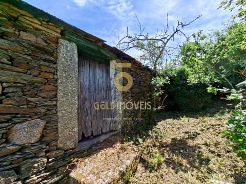 Moradia Devoluta T2 Venda em Real,Castelo de Paiva