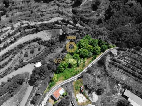 Moradia Devoluta T2 Venda em Real,Castelo de Paiva