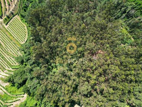 Terreno Rústico  Venda em Sobrado e Bairros,Castelo de Paiva