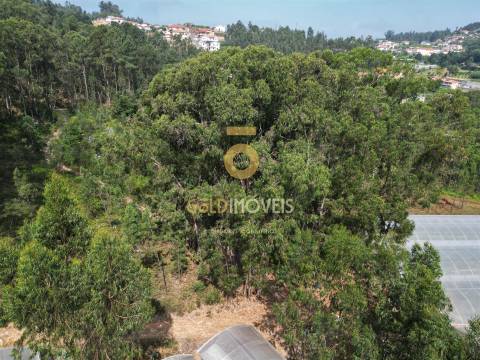 Terreno Rústico  Venda em Sobrado e Bairros,Castelo de Paiva
