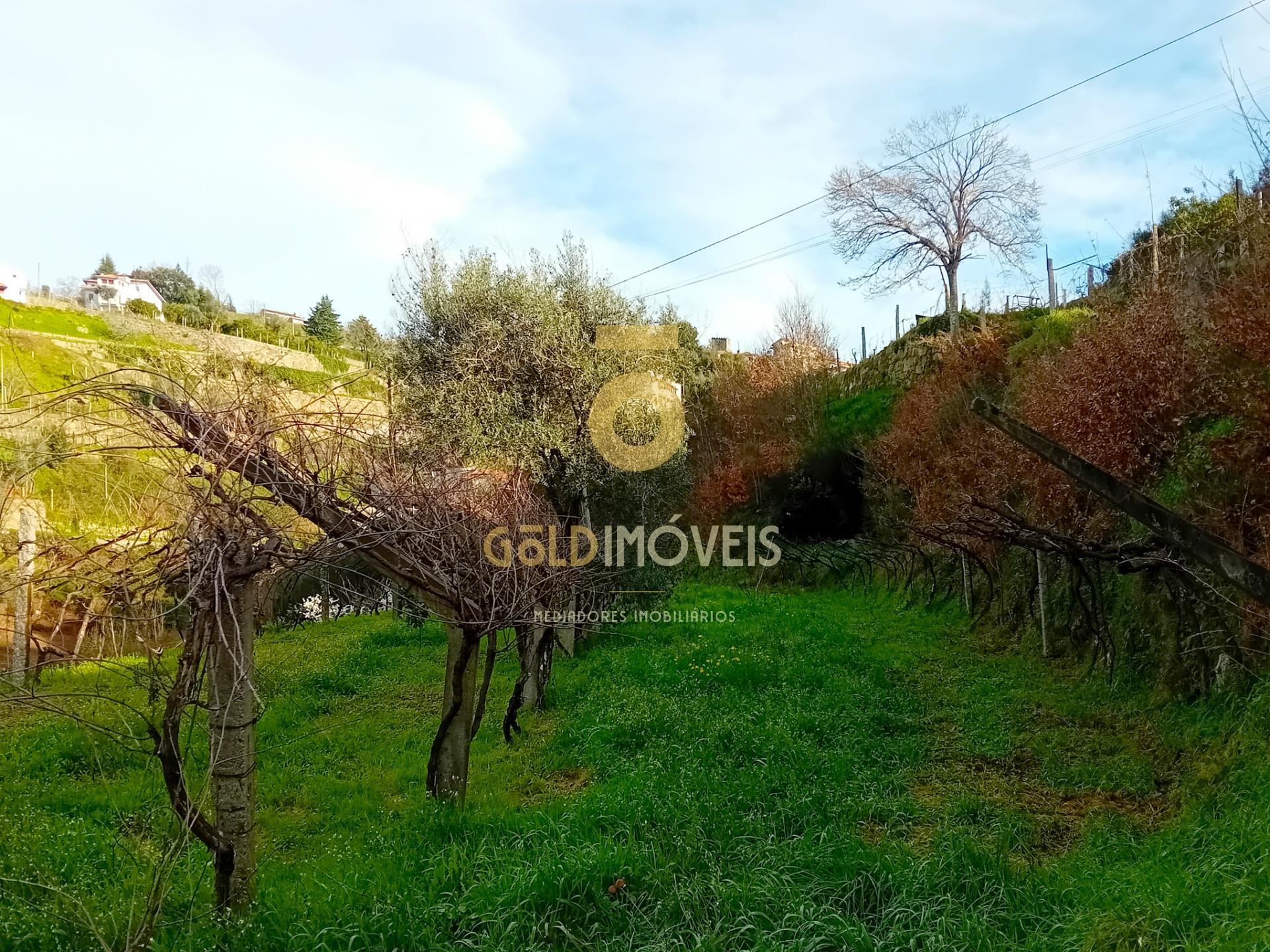 Moradia T2 Venda em Santa Maria de Sardoura,Castelo de Paiva