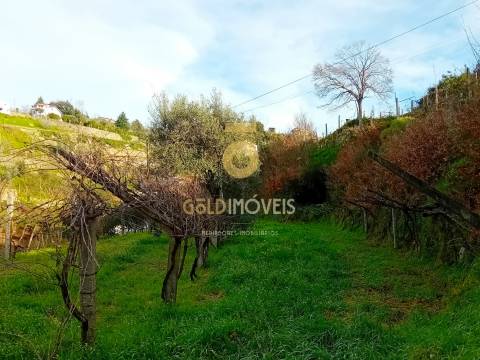 Moradia T2 Venda em Santa Maria de Sardoura,Castelo de Paiva