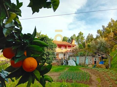 Moradia T2 Venda em Santa Maria de Sardoura,Castelo de Paiva