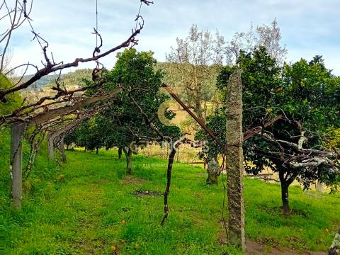 Moradia T2 Venda em Santa Maria de Sardoura,Castelo de Paiva