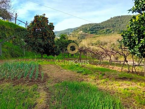 Moradia T2 Venda em Santa Maria de Sardoura,Castelo de Paiva