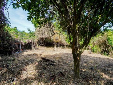 Moradia para Restaurar T2 Venda em Fornelos,Cinfães