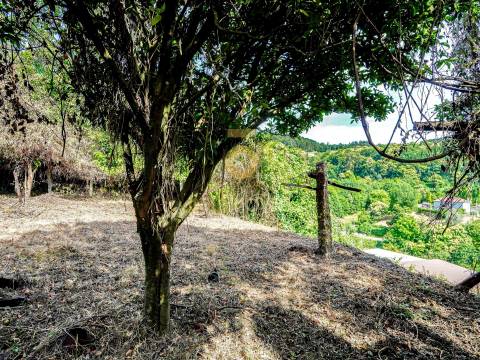 Moradia para Restaurar T2 Venda em Fornelos,Cinfães