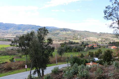 Terreno  Venda em Geraz do Minho,Póvoa de Lanhoso