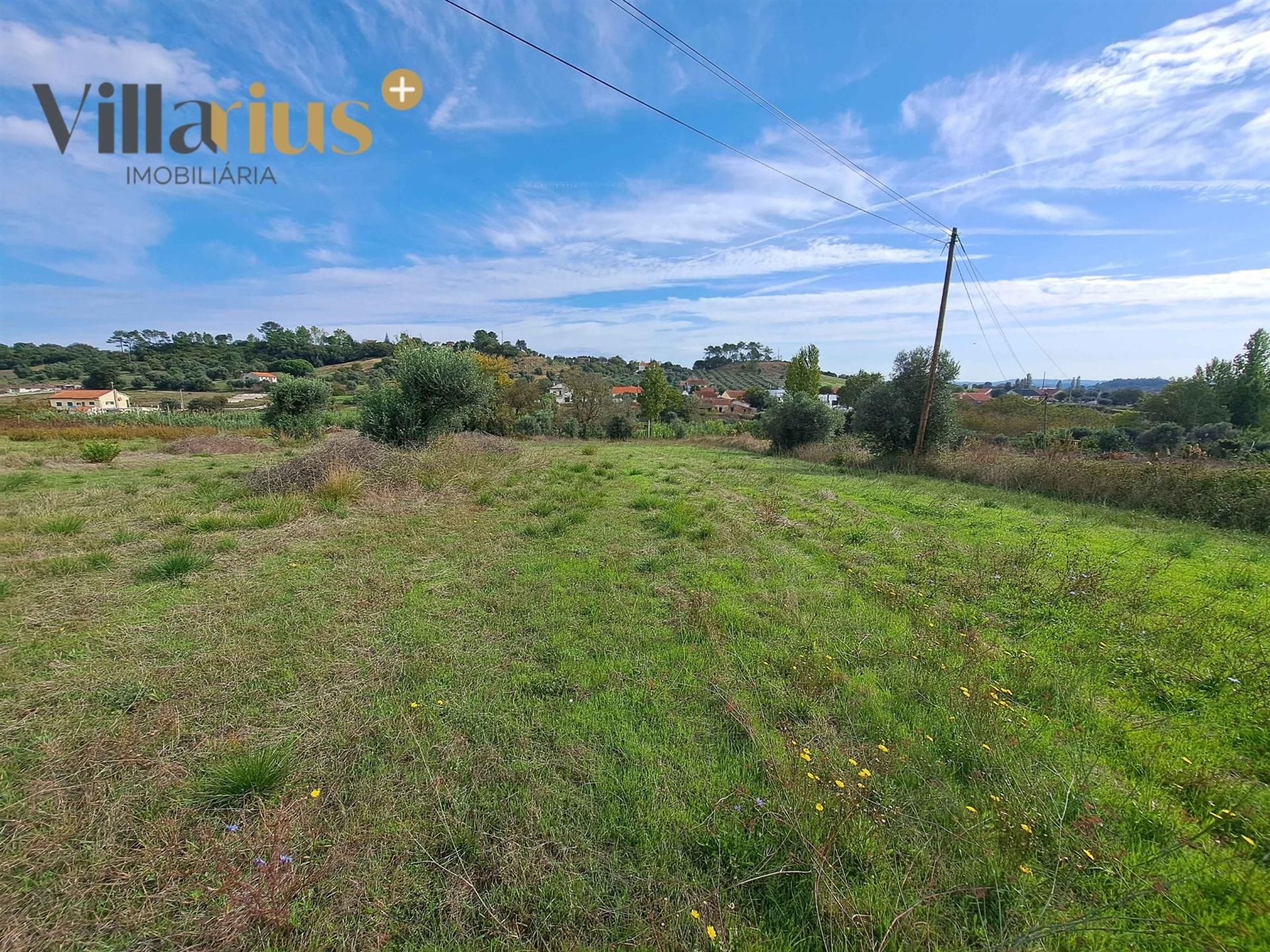 Terreno com viabilidade de construção a 5 min de Tomar