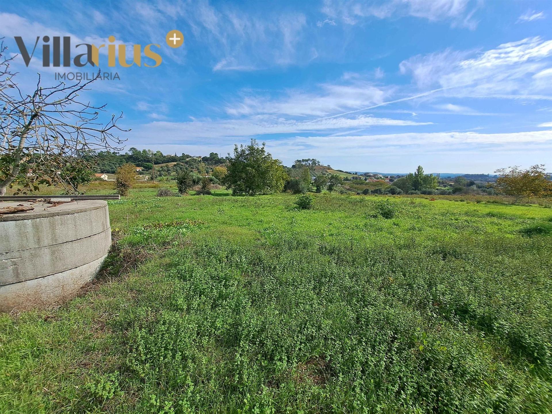 Terreno com viabilidade de construção a 5 min de Tomar