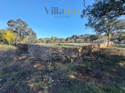 Terreno Plano com Viabilidade de Construção