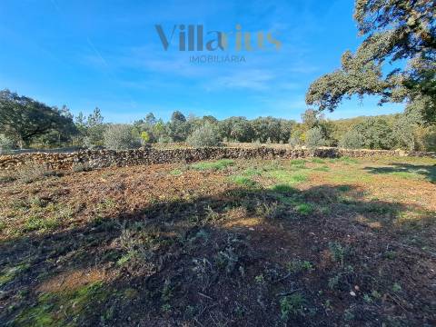 Terreno Plano com Viabilidade de Construção