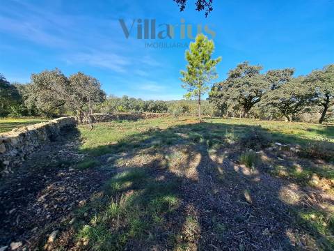 Terreno Plano com Viabilidade de Construção