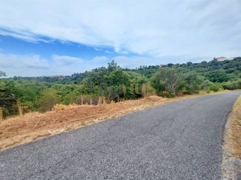 Terreno rústico 23.680 m² para investimento agrícola em Casais — Tomar | Villarius
