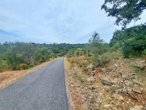 Terreno rústico 23.680 m² para investimento agrícola em Casais — Tomar | Villarius