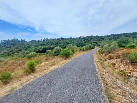 Terreno rústico 23.680 m² para investimento agrícola em Casais — Tomar | Villarius
