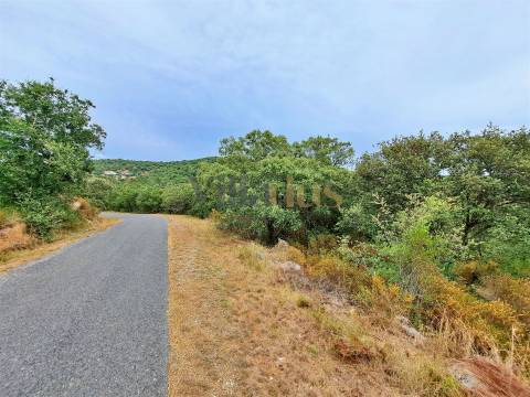 Terreno rústico 23.680 m² para investimento agrícola em Casais — Tomar | Villarius