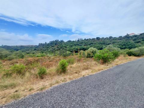 Terreno rústico 23.680 m² para investimento agrícola em Casais — Tomar | Villarius