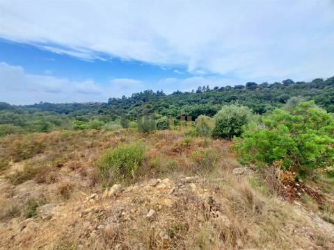 Terreno rústico 23.680 m² para investimento agrícola em Casais — Tomar | Villarius
