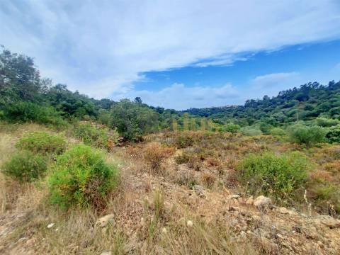 Terreno rústico 23.680 m² para investimento agrícola em Casais — Tomar | Villarius