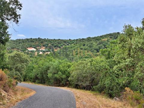 Terreno rústico 23.680 m² para investimento agrícola em Casais — Tomar | Villarius