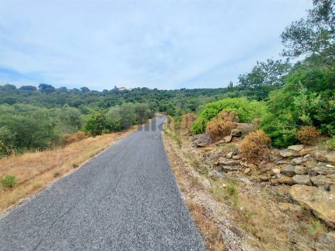 Terreno rústico 23.680 m² para investimento agrícola em Casais — Tomar | Villarius