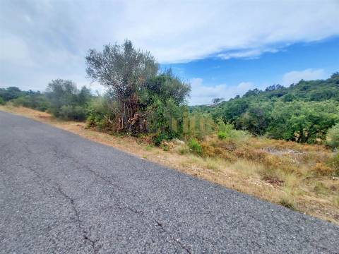 Terreno rústico 23.680 m² para investimento agrícola em Casais — Tomar | Villarius