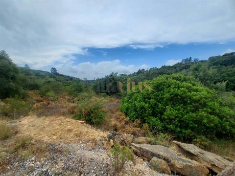 Terreno rústico 23.680 m² para investimento agrícola em Casais — Tomar | Villarius