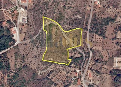 Terreno rústico 23.680 m² para investimento agrícola em Casais — Tomar | Villarius