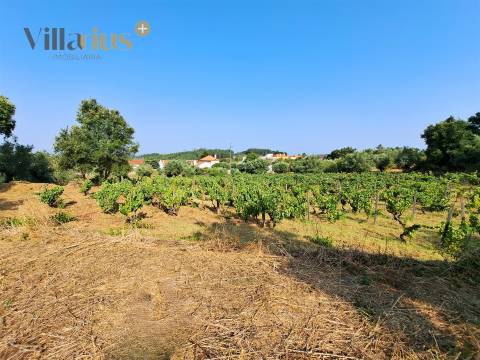 Terreno 11.513 m² com Projeto Aprovado — Tomar