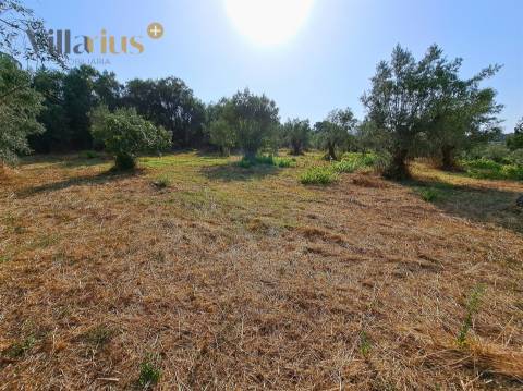 Terreno 11.513 m² com Projeto Aprovado — Tomar