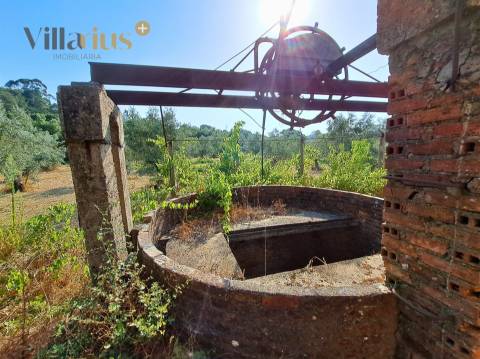 Terreno 11.513 m² com Projeto Aprovado — Tomar