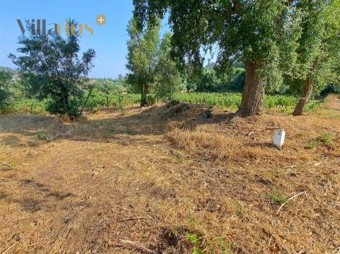 Terreno 11.513 m² com Projeto Aprovado — Tomar