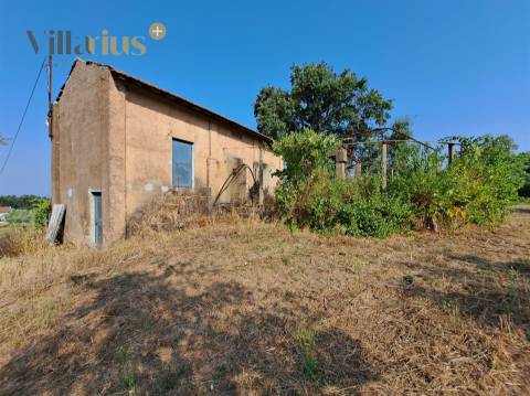 Terreno 11.513 m² com Projeto Aprovado — Tomar
