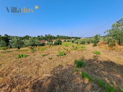 Terreno 11.513 m² com Projeto Aprovado — Tomar