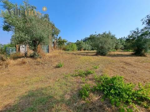 Terreno 11.513 m² com Projeto Aprovado — Tomar