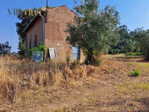 Terreno 11.513 m² com Projeto Aprovado — Tomar