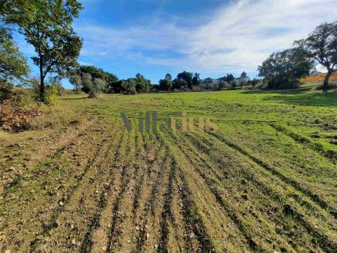 Terreno com 15.100 m², Moradia em Ruína e Viabilidade para Segunda Construção — A 5 min de Tomar