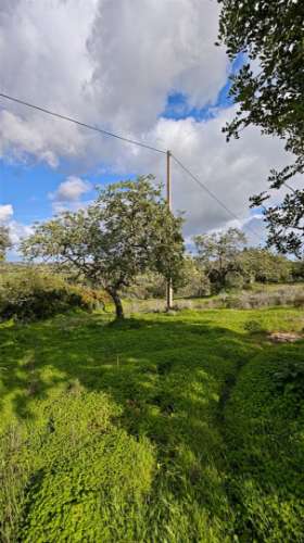 Terreno Misto com ruina, 21.760m² em Vale de Parra