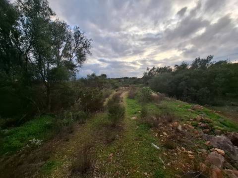 Terreno Misto com projeto aprovado para armazém - 1.100 m2