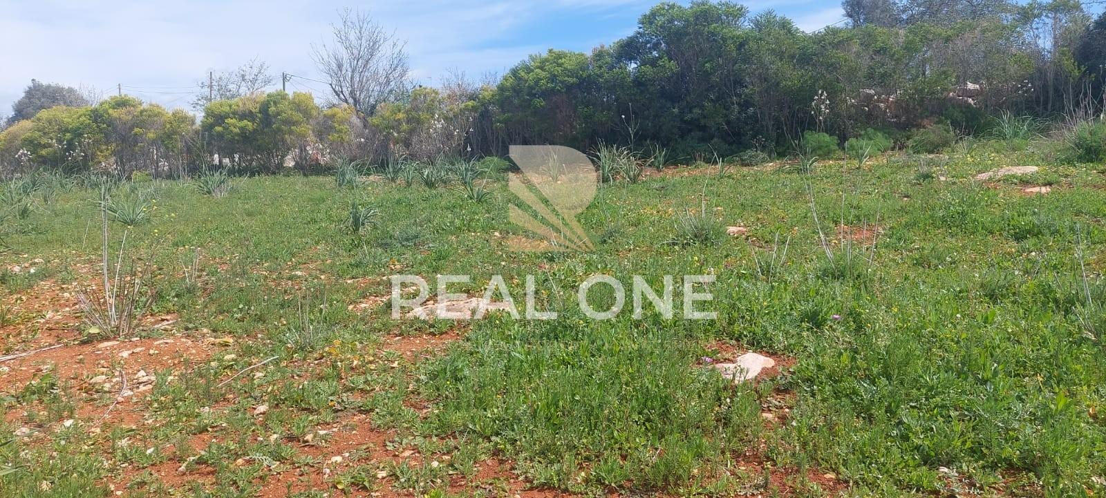 Terreno rústico com 4.555 m2 com armazém