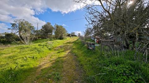 Terreno Misto com ruina, 21.760m² em Vale de Parra
