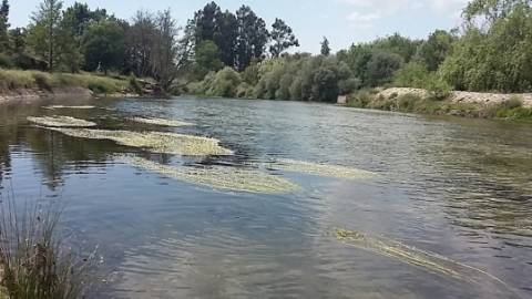 Quinta em Belmonte