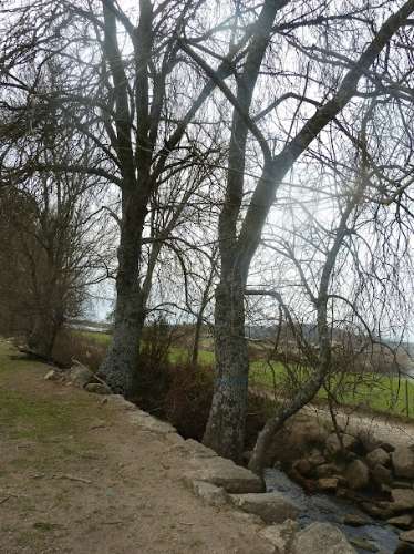 Quinta em Belmonte