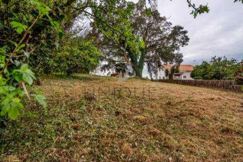 Terreno para Construção de Moradia Isolada