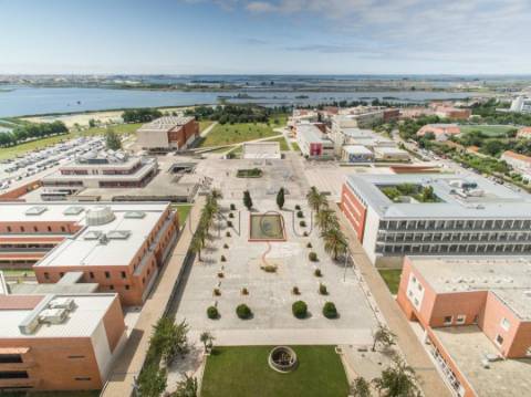 Apartamento T1 Venda em Glória e Vera Cruz,Aveiro
