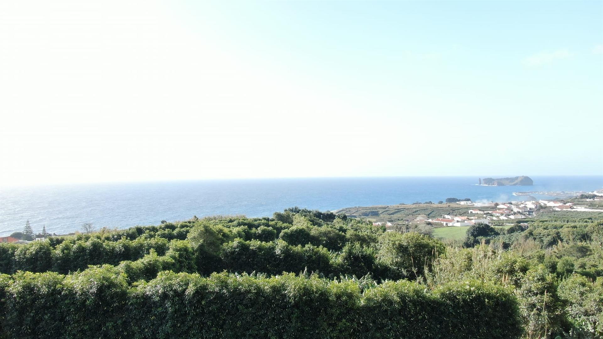 Terreno  Venda em Ribeira das Tainhas,Vila Franca do Campo
