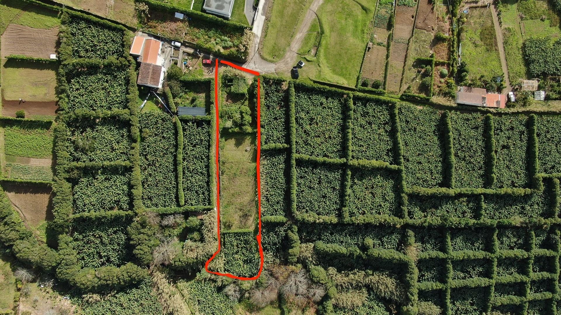 Terreno  Venda em Ribeira das Tainhas,Vila Franca do Campo